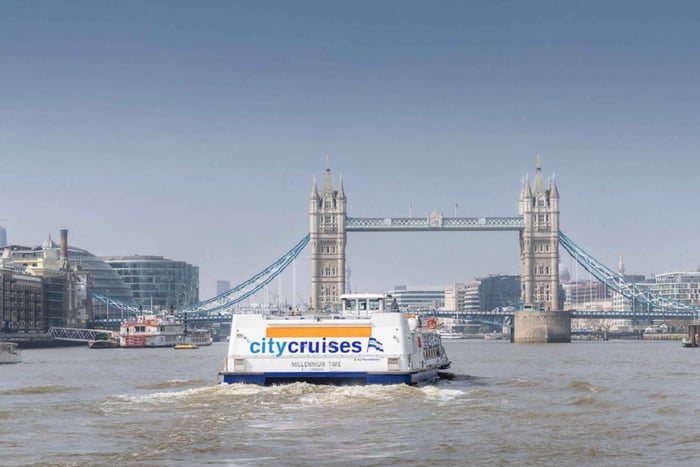 River Thames Hop-On Hop-Off Sightseeing Cruise