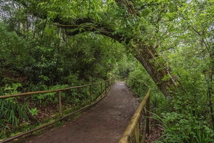 Caldeirão Verde: Queimadas PR9 Transferwanderung