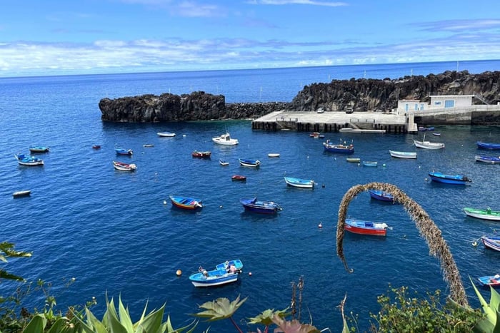Câmara de Lobos Walking Tour & Wine Tasting with a Local