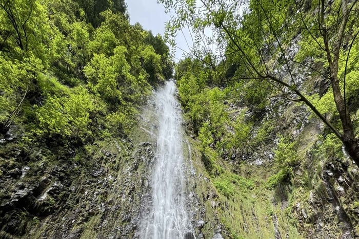 Emerald Forest 4x4 Tour with Waterfalls
