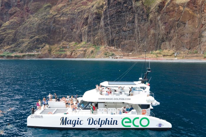 Ab Funchal: Ökologischer Katamaran Delfin-Walbeobachtung