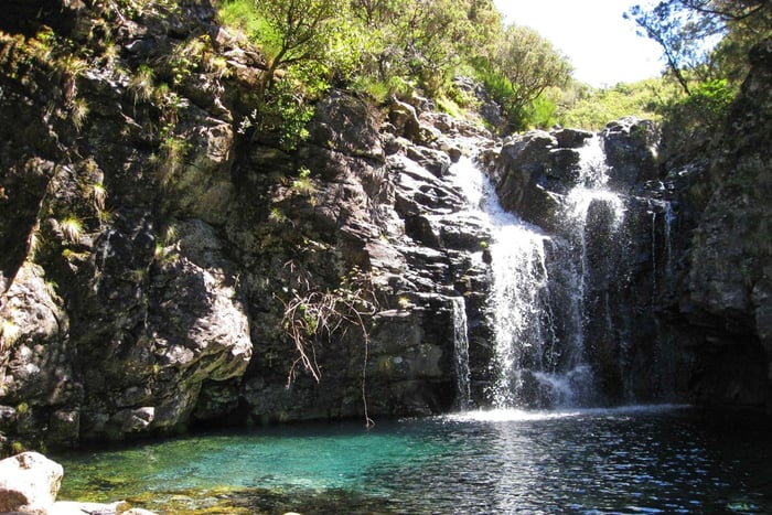 Von Funchal aus: Madeira Seen Levada Geführte Wanderung