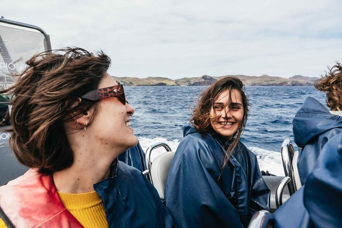 De Machico: Passeio de barco para observação de baleias e golfinhos na Madeira