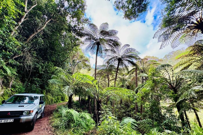 Funchal: 4x4 Jeep Trip in den Osten und Nordosten Madeiras