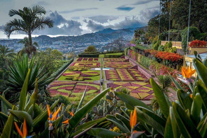Funchal: Botanischer Garten & Altstadt Tour mit dem TukTuk (1h45)