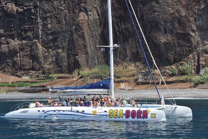 Funchal: Crucero en catamarán para avistamiento de delfines y ballenas