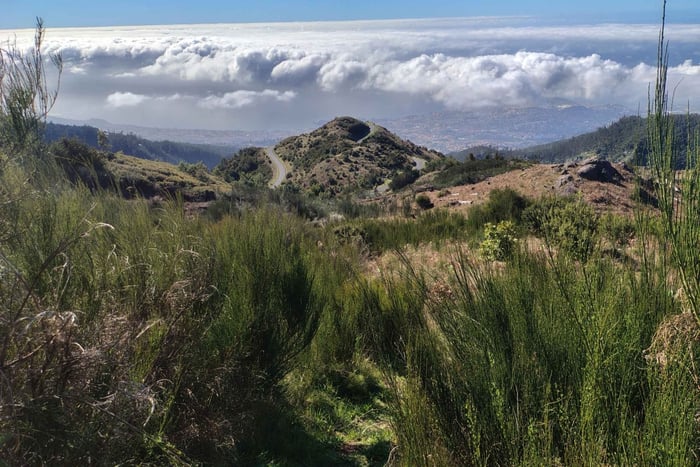 Funchal: Opastettu vaellus ekologiseen puistoon