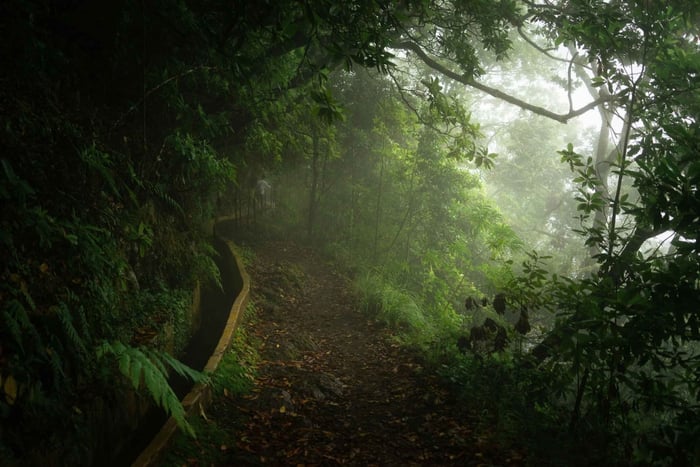 Funchal: Middle Madeira Valley And Mountains Private Tour