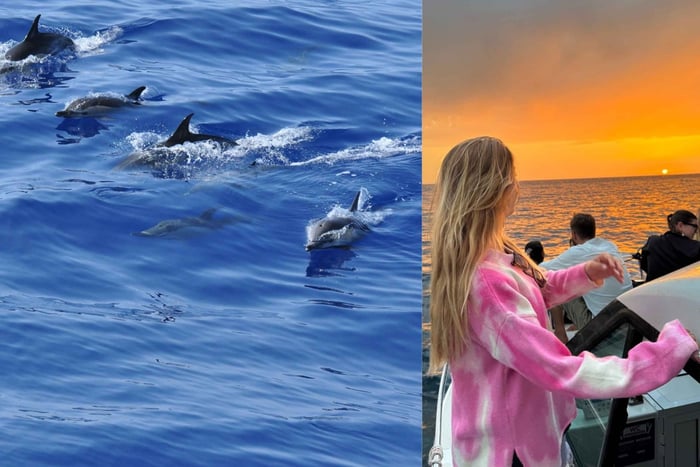 Funchal: Morning/ Sunset Catamaran Tour w/ Open Bar & Snacks