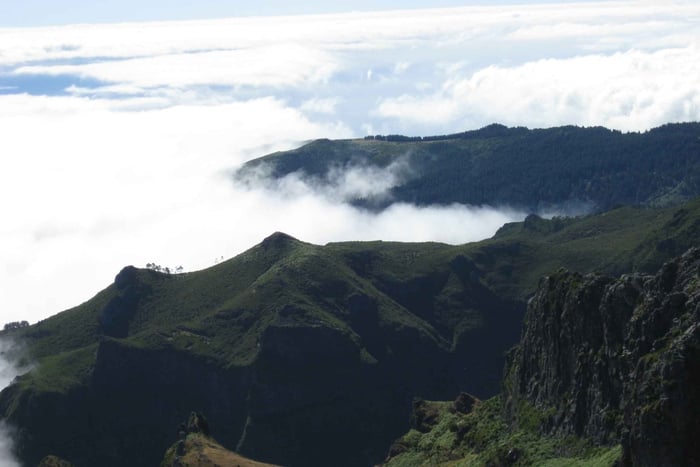 Madeira: Passeio de dia inteiro no Pico Ruivo / Achada do Teixeira