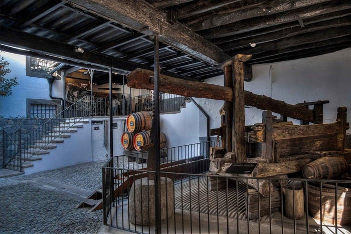 Madeira Guided Wine Tour and artisan Cheese Tasting