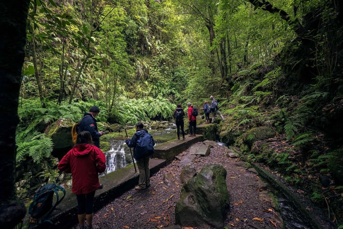 Madeira Hidden Corners: Enchanted Levada do Rei Guided Walk