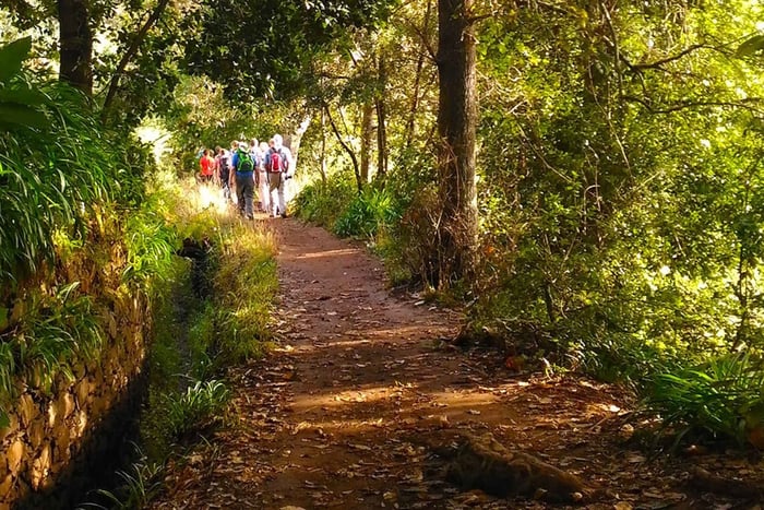 Madeira: Passeio na Levada do Vale do Paraíso