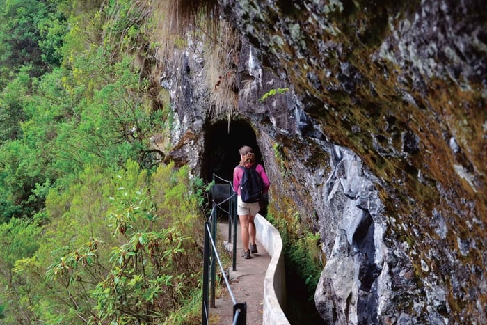 Madeira: Prazeres to Ponta do Pargo Guided Walking Tour