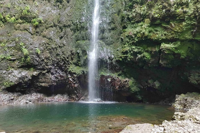 Madeira: Paseo Privado Guiado Levada Caldeirão Verde PR9