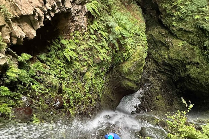 Madeira: Seixal Canyoning Level 3 Adventure