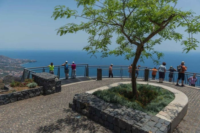 マデイラ島：西島日帰り旅行