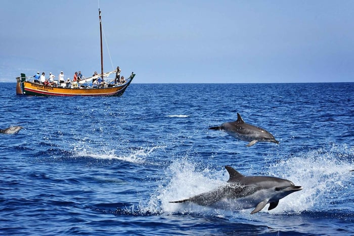 Madeira: Walbeobachtungsausflug in einem traditionellen Schiff