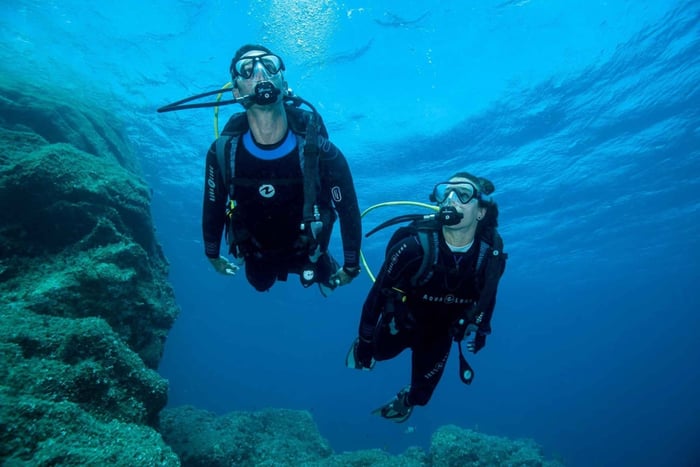 Ponta de São Lourenço Shore Dive (certified divers)