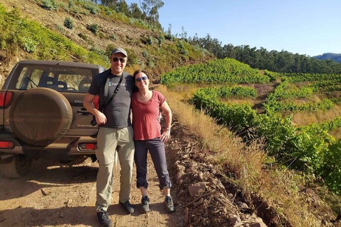 Private Half-Day Tour of Wine Fields