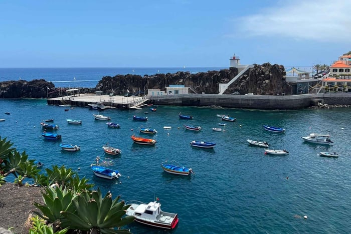 Privat smak av Madeira med en lokal innbygger: vin, poncha og snacks