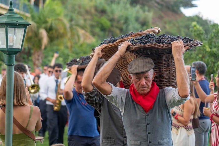 Santana : dégustation de vin et vendanges avec déjeuner