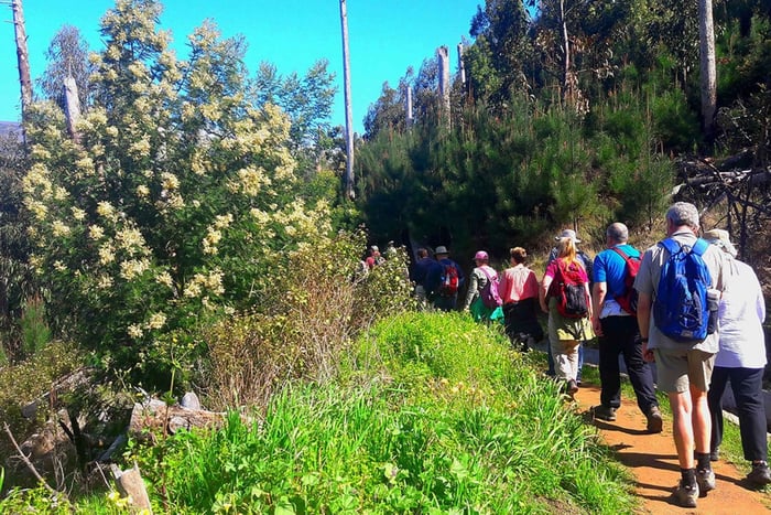 Serra de Água Tal Levada Wanderung