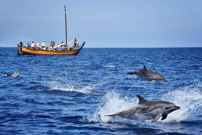 Walvisexcursie in een traditioneel schip