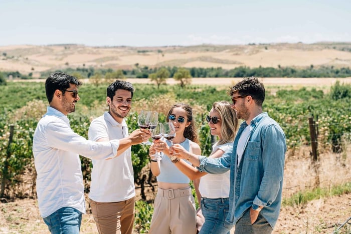 Fra Madrid: Guidet tur til Toledo og besøk på vingård med vinsmaking