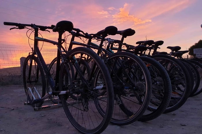 Madrid: noleggio biciclette