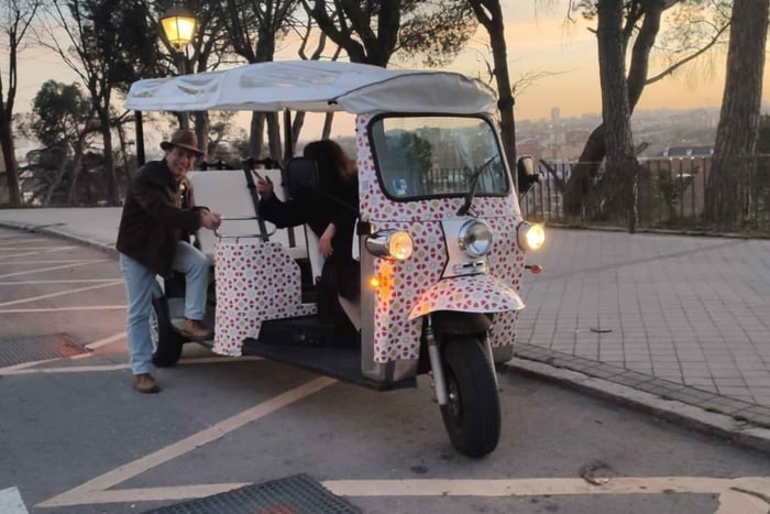 Madrid: City Tours - Tuk tuk ecológico privado de 6 plazas