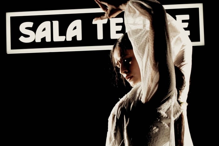 Madrid: Flamencoshow på Tablao Sala-tempelet med drikke