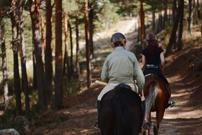 Madrid: Ridning i Sierra del Guadarrama Nationalpark