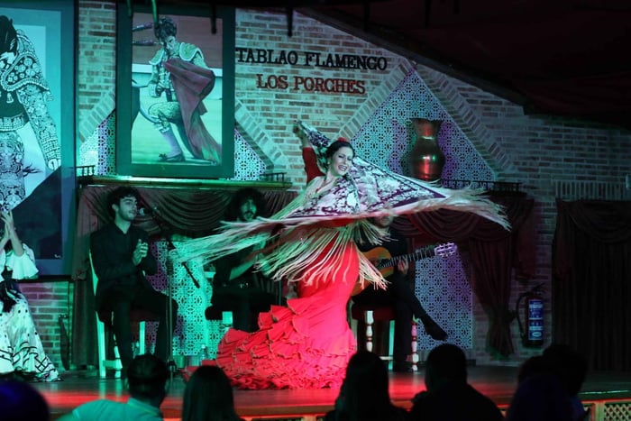 Madrid: Los Porches flamencoshow met tapas- en wijnkaart