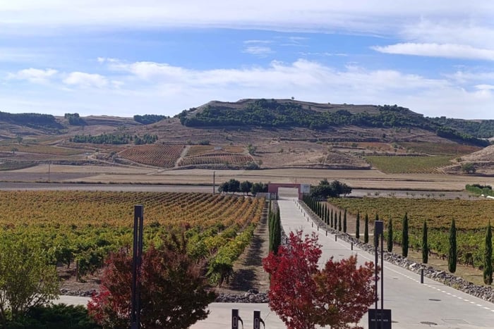 Pago de Carraovejas and Segovia: wine, history and haute cuisine in one day