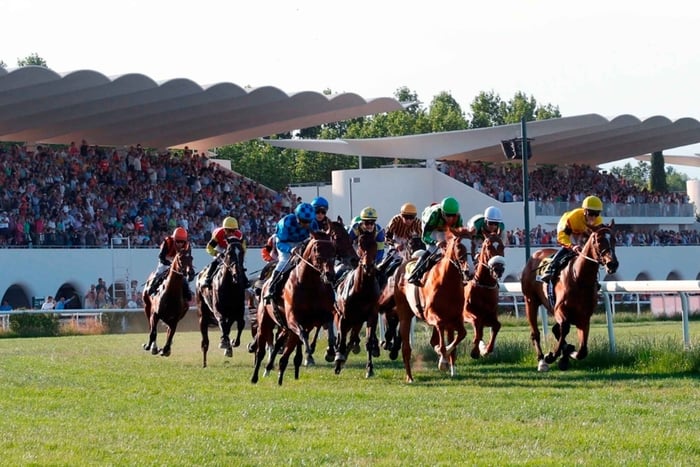 Visite guidée des courses/hippodrome de la Zarzuela-Madrid