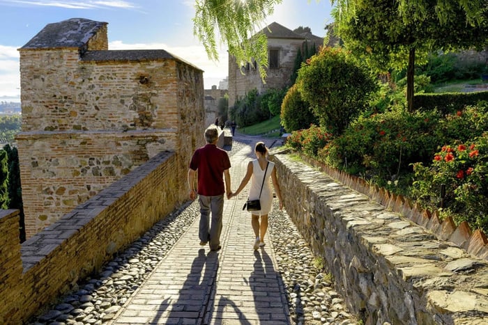 biglietto d'ingresso per l'Alcazaba