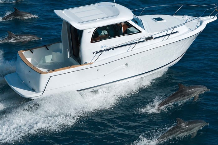 Benalmádena : croisière en bateau / observation des dauphins