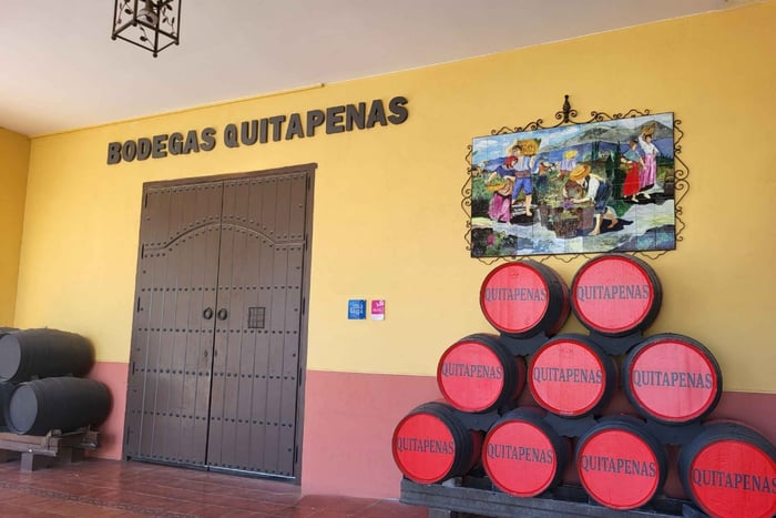 Bodegas Quitapenas: Guided Visit + Wine Tasting