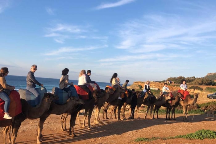 From Malaga: Private Tangier Day Tour
