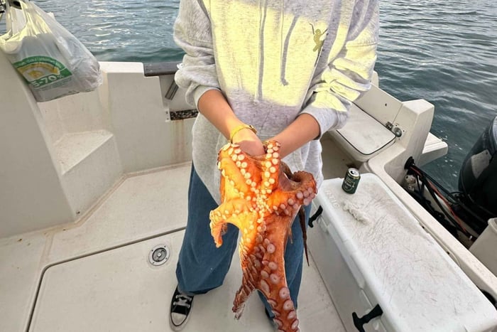 Málaga: Fishing Trip with Equipment, Drinks and Food free