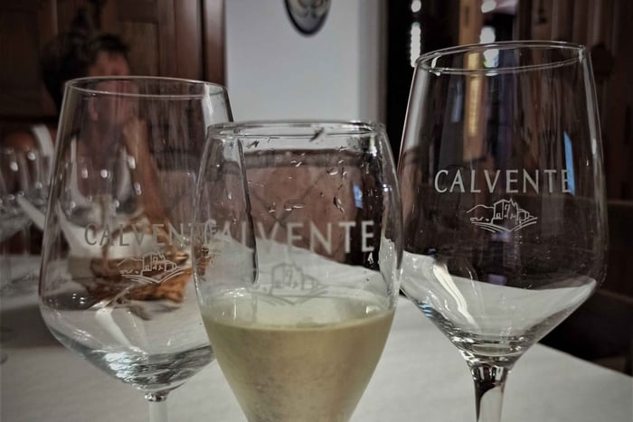 Malaga & Granada: Wine Tasting and Tapas with Resort Pickup