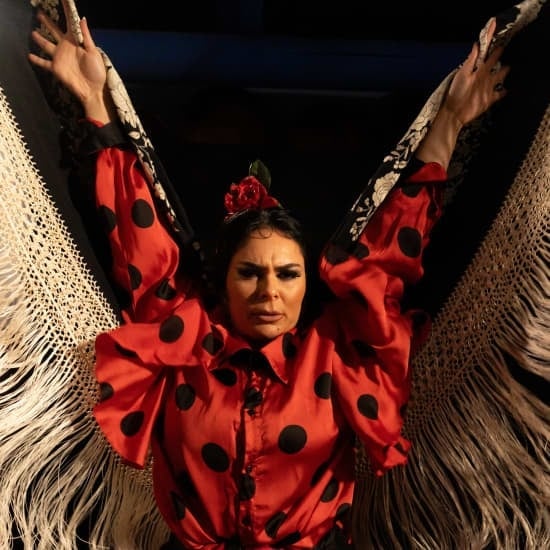 Authentieke Flamenco bij El Gallo Ronco