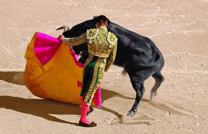 Malaga Bullfighting Festival 2026