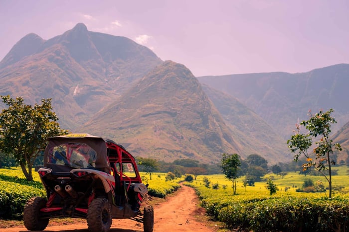 3-Day Mount Mulanje Escape with Hiking & Tea Experience