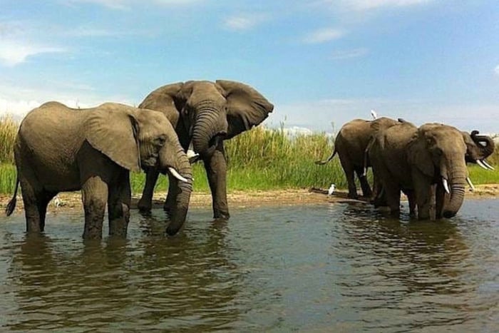 7-Day Tour with Lake Malawi and Liwonde Park