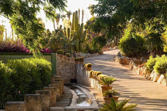 Botanicactus at the Botanical Garden in Ses Salines
