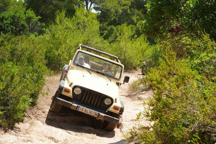 Cala Millor: Guided Jeep Tour with Nature, Off-Road Adventure & BBQ – Self-Drive