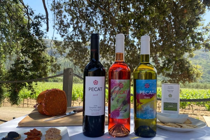 Esperienza guidata di degustazione di vini ad Alcudia, Maiorca