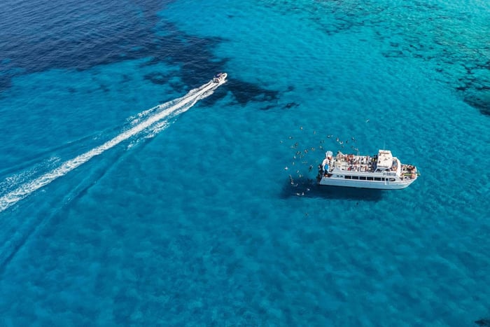 Ibiza: Excursión a Formentera con paddle surf, snorkel y almuerzo